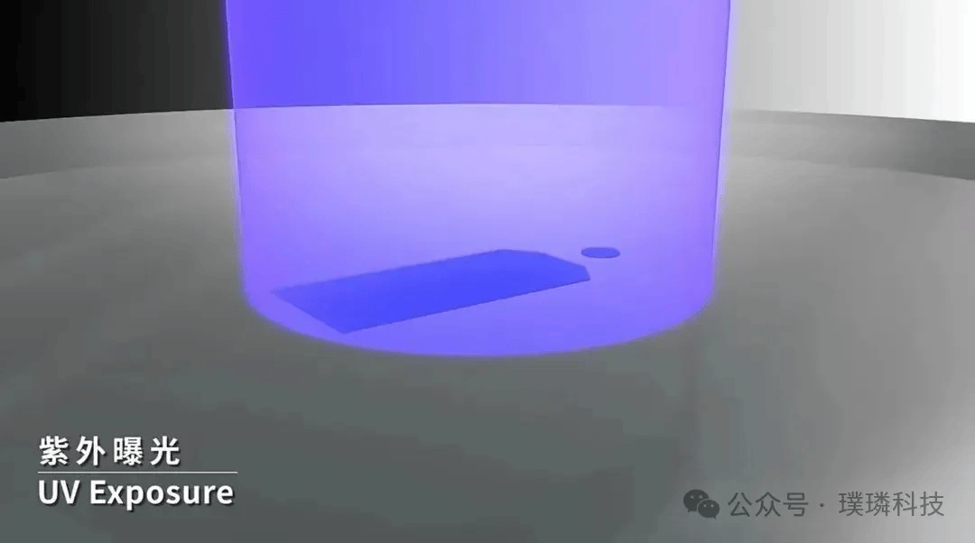 31.png